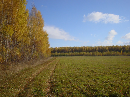 30397 (a): :1024x768